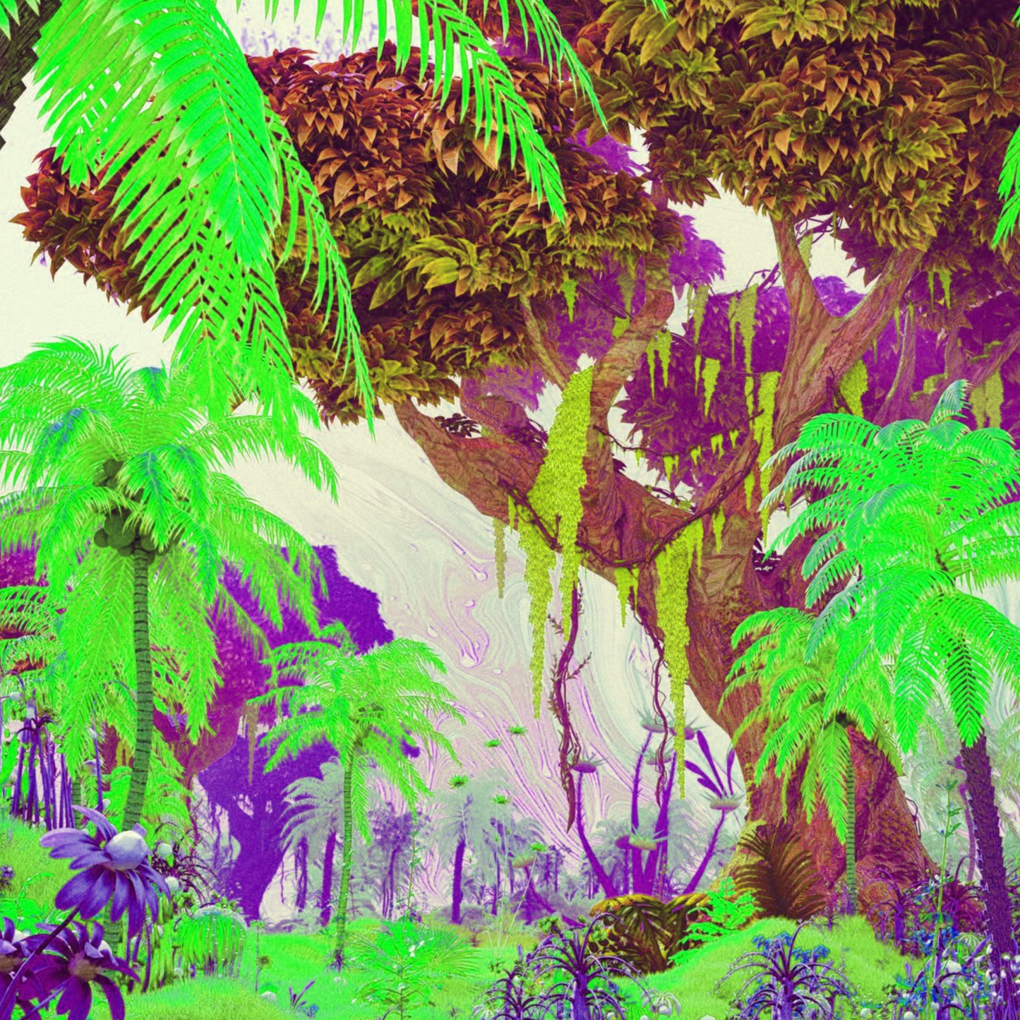 CANOPY - 136 BPM